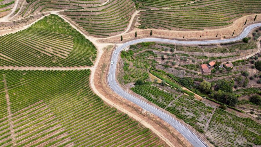 Porto: 3 Wine Regions & Farm Lunch with Views Small-Group - Price and Value: What $118 Gets You in a 9-Hour Wine Day