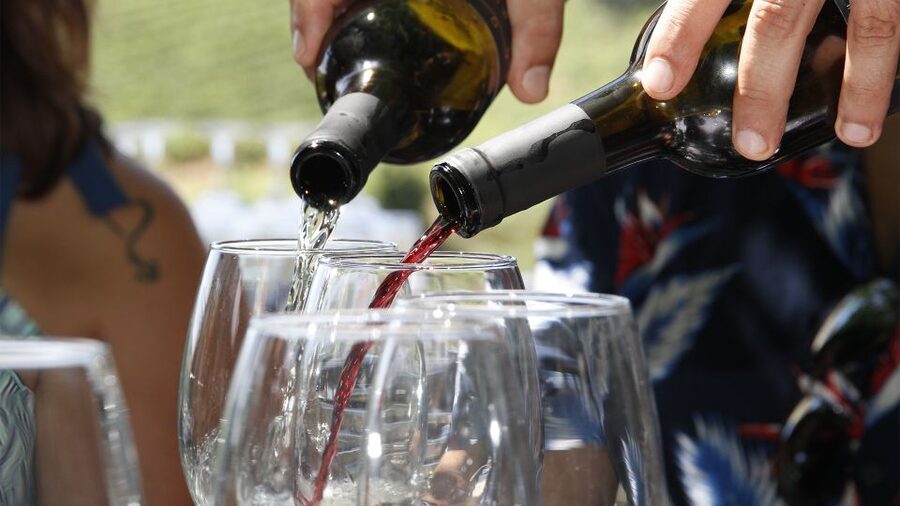 Porto: 3 Wine Regions & Farm Lunch with Views Small-Group - Pinhão: Your First Proper Taste Stop in the Douro Valley