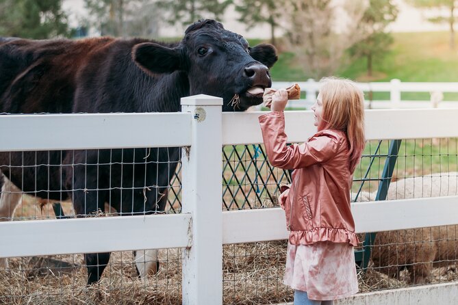 Premium Amish Country Tour including Amish Farm and House - Starting in Lancaster: a simple setup near the Covered Bridge area