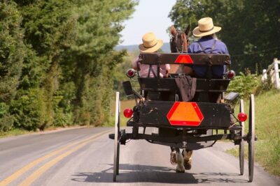 Premium Amish Country Tour including Amish Farm and House - Stop on the Amish farmstead: self-guided 15 acres plus schoolhouse and animals