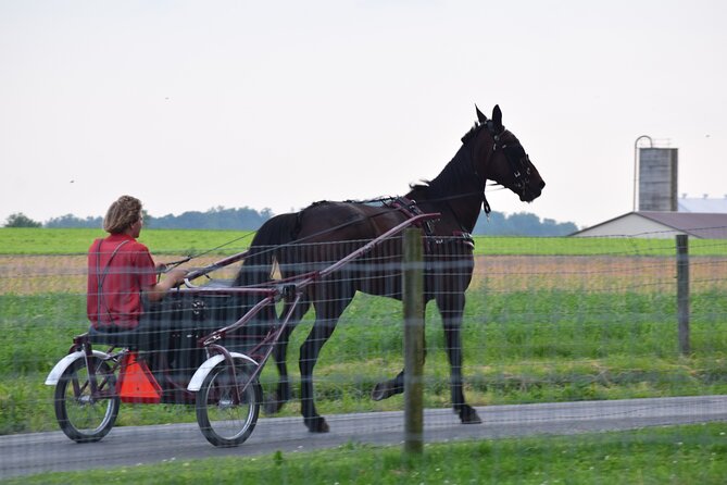 Premium Amish Country Tour including Amish Farm and House - Getting the best value from a $38.95 tour