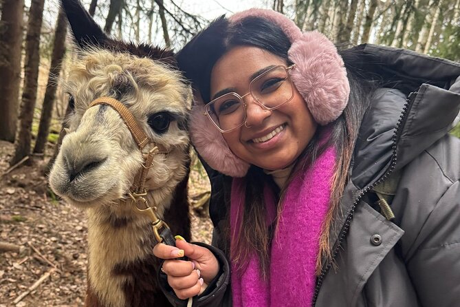 PRIVATE Alpaca Guided Forest Walk + Feeding Helsinki - What This Tour Includes (and Why It’s Good Value)