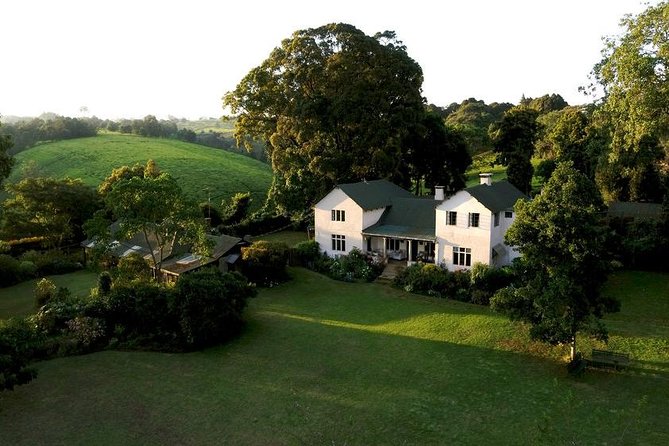 Private Day Trip to Kiambethu Tea Farm in Limuru from Nairobi - Your tour team: guides, drivers, and the pace of the day
