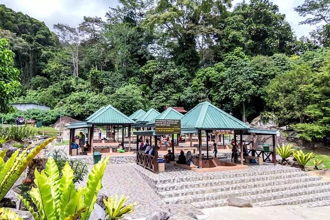Private Desa Dairy Farm, Kinabalu National Park, Hot Spring & Canopy Walk Tour - A 7:30 am start that actually makes sense