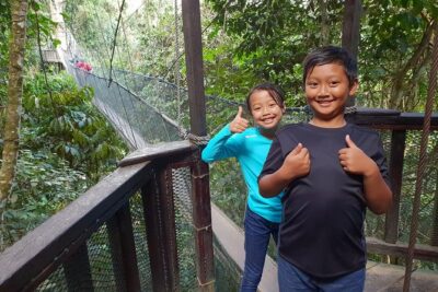 Private Desa Dairy Farm, Kinabalu National Park, Hot Spring & Canopy Walk Tour - Price and what you really get for $139