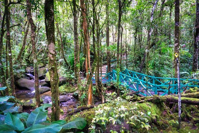Private Desa Dairy Farm, Kinabalu National Park, Hot Spring & Canopy Walk Tour - Bombon Kg. Marakau fish spa: fun, weird, and brief (in a good way)
