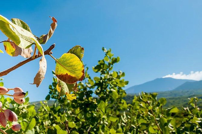 Private Etna tour and pistachio lunch in a pistachio farm - Mount Etna with a Private Guide: Craters, Lava, and Caves Without the Guesswork