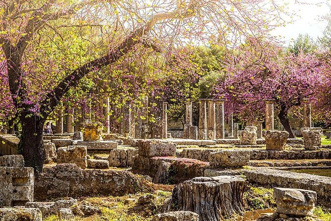 Private Excursion to Ancient Olympia - bee farm & winery - Price and the add-ons you should expect