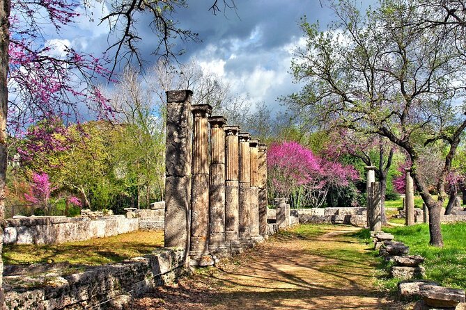 Private Excursion to Ancient Olympia - bee farm & winery - Should you book this Olympia honey-and-wine day?