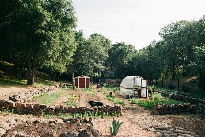 Private Farm Workshop in Napa Valley - Key takeaways before you go