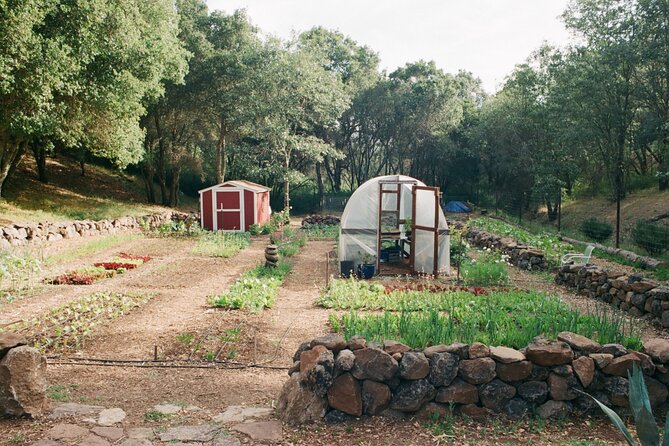 Private Farm Workshop in Napa Valley - Getting to Soda Canyon Road and what the morning timing feels like