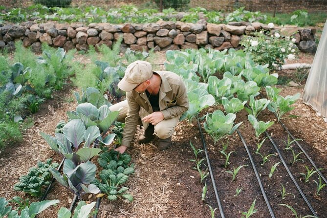 Private Farm Workshop in Napa Valley - Regenerative no-till farming, explained in real-world terms