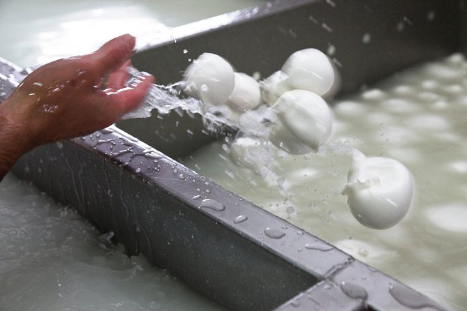 Private guided tour of Paestum and Buffalo Mozzarella farm lunch - What You’ll Want to Bring (so the day goes smoothly)
