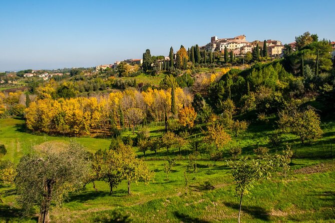 Private Guided Tour to Pisa and local Wine Farm from Livorno port - Family farm since 1865: vineyards, lunch, and wine tasting