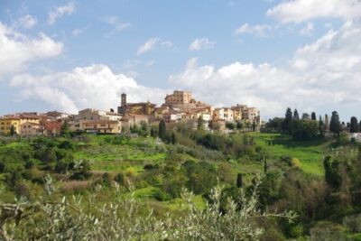 Private Guided Tour to Pisa and local Wine Farm from Livorno port - Leaning Tower of Pisa: what you get, what costs extra