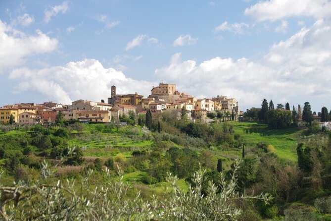 Private Guided Tour to Pisa and local Wine Farm from Livorno port - Leaning Tower of Pisa: what you get, what costs extra