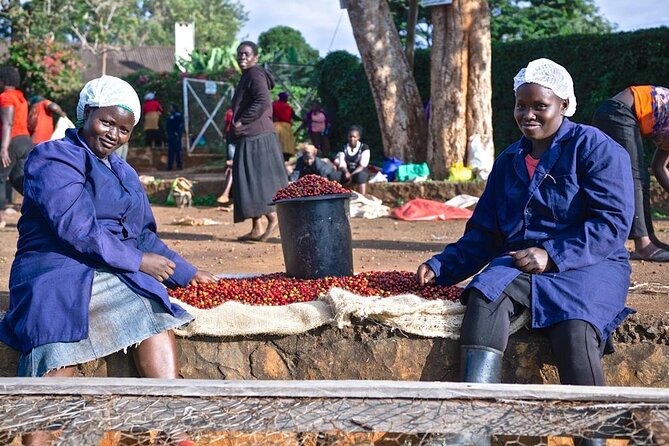 Private Half-Day Tour in Fairview Coffee Farm from Nairobi - Heading out from Nairobi: timing, pickup, and the feel of the morning