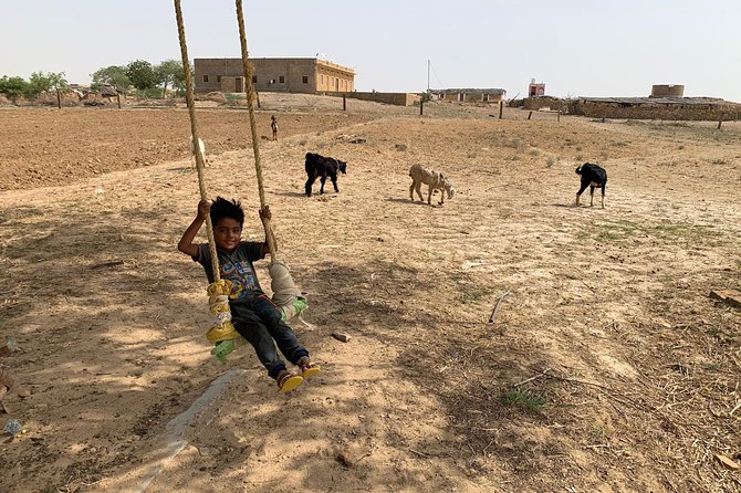 Private Jaisalmer Rural Farm Tour - A desert farm day in Jaisalmer, without the tourist gloss