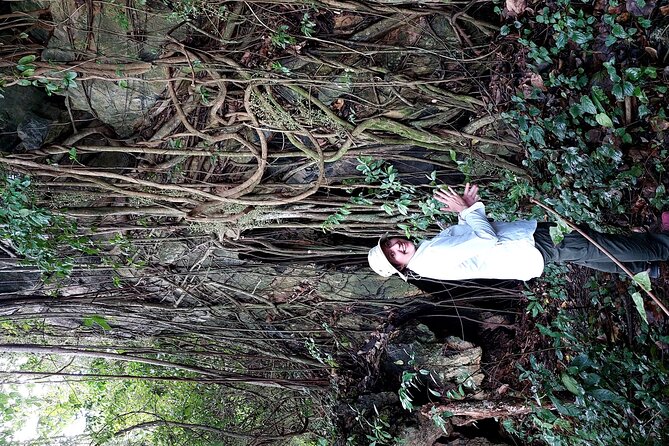 Private Kampot Countryside Tour & Pepper farm, Kep/Crab Market - When this private tour makes the most sense