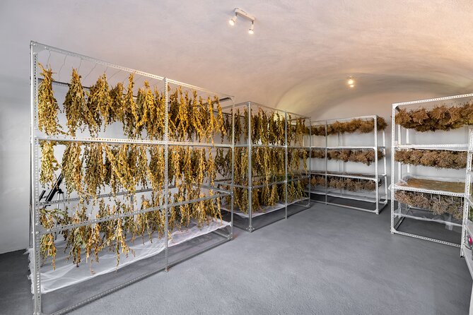 Private Olive Oil tasting & Liqueur experience - The cave for drying herbs: where setting becomes part of the flavor