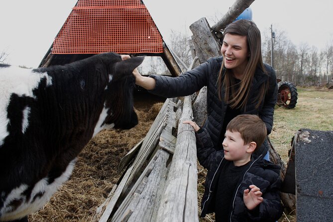 Private Tour at Historic Alaska Dairy Farm - The tour: what you do from start to finish