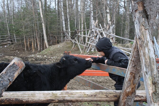Private Tour at Historic Alaska Dairy Farm - Enter Sun Fire Ridge with a farm-first mindset