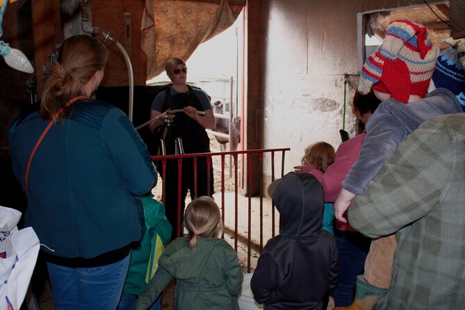 Private Tour at Historic Alaska Dairy Farm - Barn and pasture time: where the learning becomes real