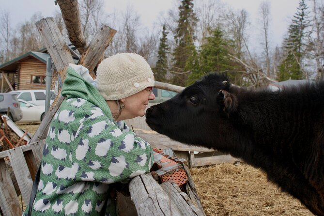 Private Tour at Historic Alaska Dairy Farm - Morning tours and bottle-feeding baby calves