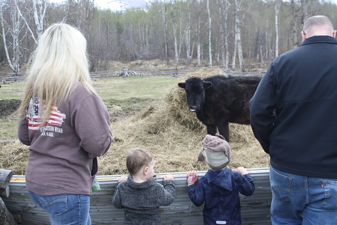 Private Tour at Historic Alaska Dairy Farm - Icelandic sheep and rabbits: more than just dairy cows