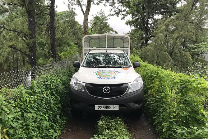 Private Tour Moorea 4WD - Belvedere Pineapple Farm, Magic Mount. - Private Tour Comfort: Seats, Belts, and the Driver-Guide Advantage