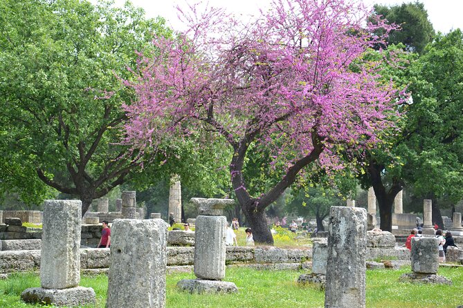 Private Tour:Visit of Agricultural Farm and free time in Olympia - Should you book this tour?