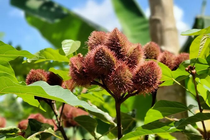 Private Tour Zanzibar Unique Stone Town with spice Farm Plantations - Logistics that can make or break the day