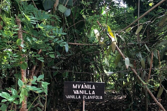 Private Zanzibar Spice Farm Tour - The guide factor: why people keep mentioning names