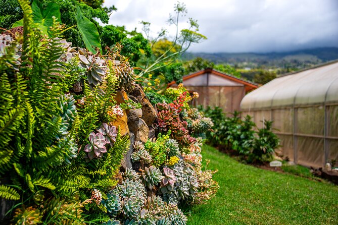 Pueo Farm Tour (1.5 hr) Upcountry Kula Maui Hawaii - Who This Tour Fits Best (and Who Might Skip)