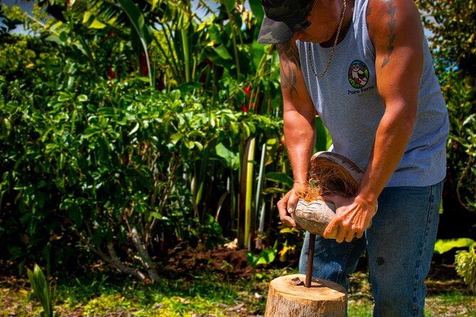 Pueo Farm Tour (1.5 hr) Upcountry Kula Maui Hawaii - The Farm Walk: Flowers, Vegetables, and Regenerative Practices