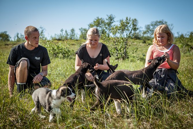 Puppy Training Experience at a Husky Farm in Tromso - Rain gear and rubber boots: your “don’t think about it” solution