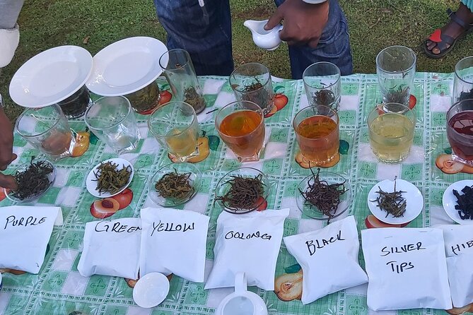 Purple Tea Farm Tour from Nairobi City - Specialty Tea Tasting - Three-course lunch plus a serious specialty tea tasting lineup