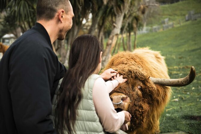 Queenstown Lake Cruise and Walter Peak Farm Adventure - Key things to love about this Queenstown cruise and Walter Peak farm adventure