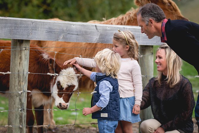 Queenstown Lake Cruise and Walter Peak Farm Adventure - Pairing the sights: Lake Wakatipu on water + the farm viewpoint on shore