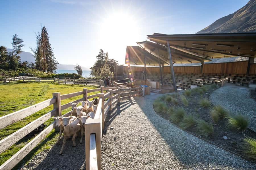 Queenstown: Queenstown Lake Cruise and Walter Peak Farm Tour - How long is it, and how does it fit your Queenstown day?