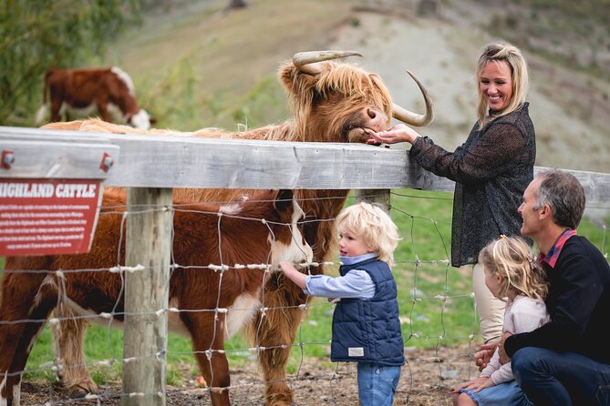 Queenstown: Walter Peak Farm Tour and Lake Cruise - Queenstown to Walter Peak: what you’re really buying for $80
