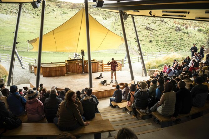 Queenstown: Walter Peak Farm Tour and Lake Cruise - Price and value: when this tour makes sense