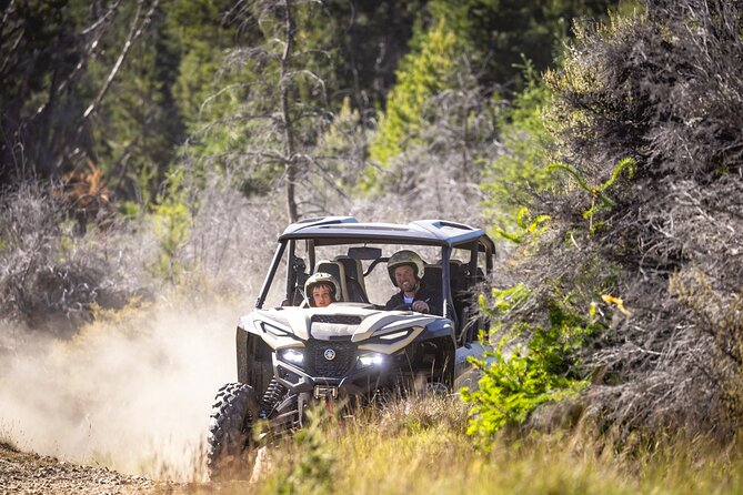 Queenstown: Walter Peak Farm Tour and Lake Cruise - Should you book the Walter Peak Farm Tour and Lake Cruise?