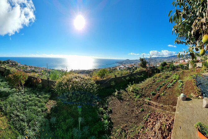 "Re-Canto" Farm-to-Table with Stunning Views at Madeira - Practical Tips for Timing, Shoes, and Getting There