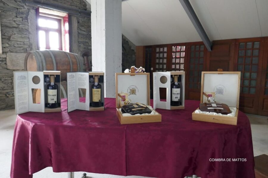Régua: Wine Tasting at a Farm, Traditional Lunch, Cruise and Train - A full Douro day in one loop: Régua to Pinhão and back