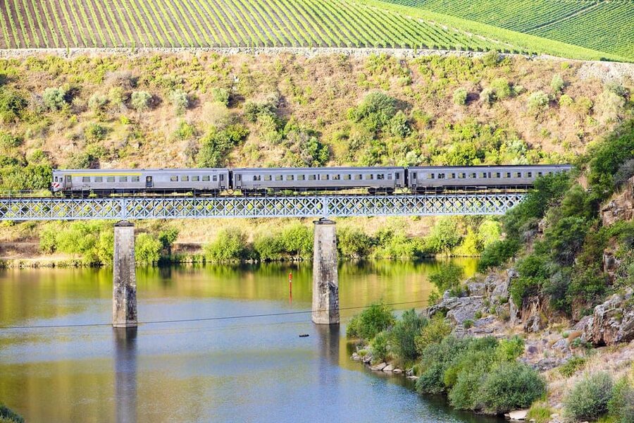 Régua: Wine Tasting at a Farm, Traditional Lunch, Cruise and Train - River Douro cruise Régua–Pinhão: 2-plus hours of scenery and time to roam
