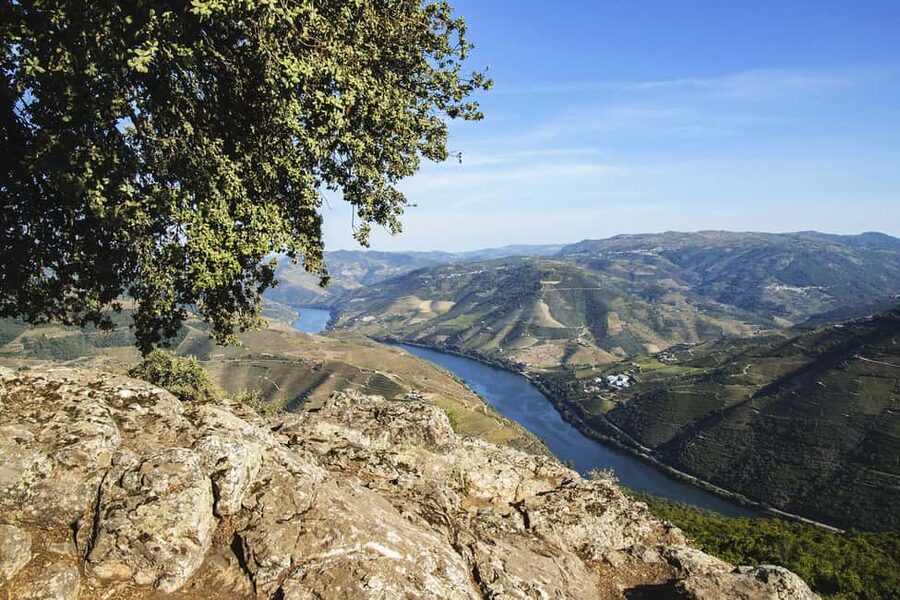 Régua: Wine Tasting at a Farm, Traditional Lunch, Cruise and Train - Who should book this tour (and who should skip it)