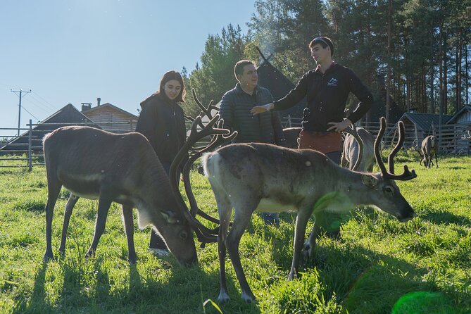 Reindeer Farm Experience in Summer and Autumn from Rovaniemi - Leaving Rovaniemi at 9:00am: How the Schedule Feels in Real Life
