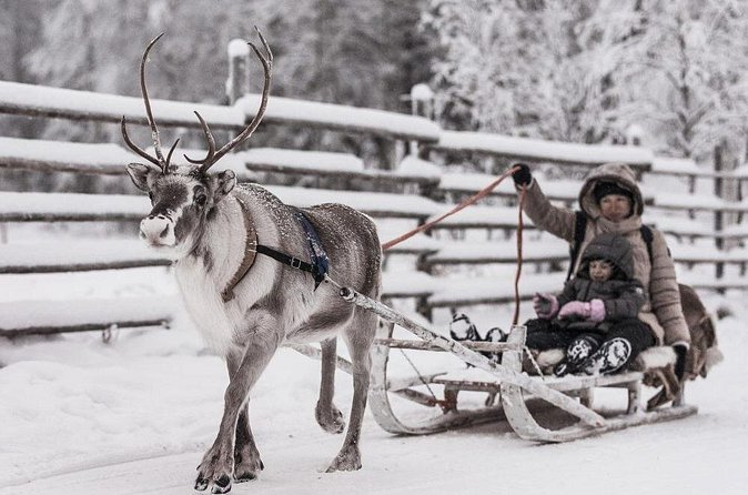 REINDEER FARM VISIT a real authentic experience - Clothing and Cold Comfort: What to Wear (and What Might Cost Extra)