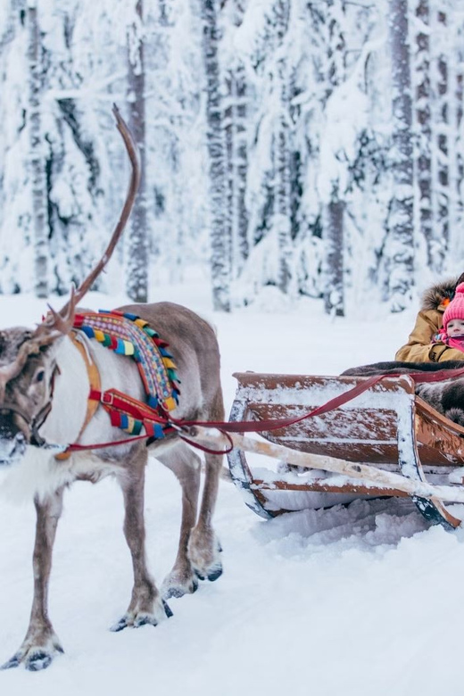 Reindeer Farm Visit with Sleigh Ride - Key things to know before you go